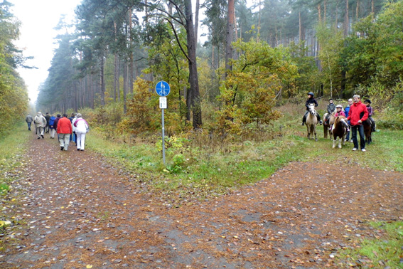 Mit einem Pony wre die Wanderung einfacher