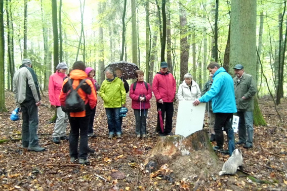 Auch an Hand von Schaubildern erfolgte die Erklrung  der verschiedenen Baumarten