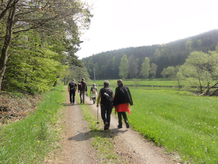Weiter geht es durch die Schwarzachauen zum Büsserberg